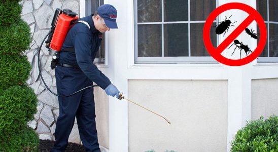 Karacasu Böcek ve Haşere İlaçlama böcek ilaçlama ve haşere kontrolü — ilaclama-tr.com